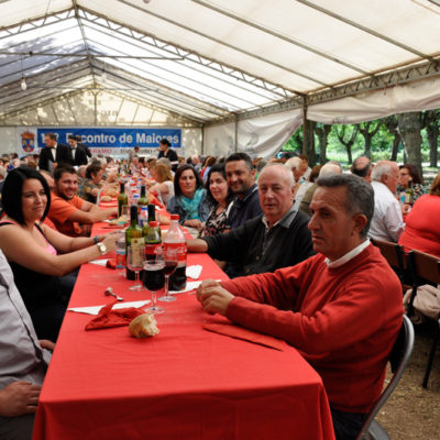 Convivencia dos maiores do Páramo