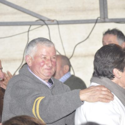 O san Martiño en Torre