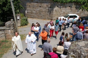 DSC_0231 (1)