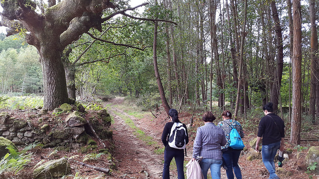 Ruta de San Marcos